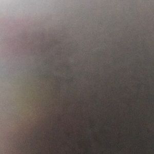 Meet your Posher, Ricki